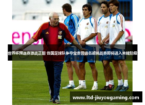 世界杯预选赛激战正酣 各国足球队争夺宝贵晋级名额挑战赛即将进入关键阶段