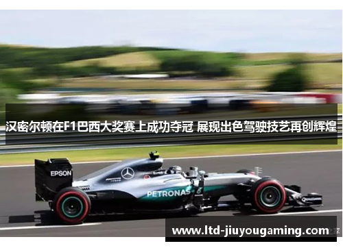 汉密尔顿在F1巴西大奖赛上成功夺冠 展现出色驾驶技艺再创辉煌
