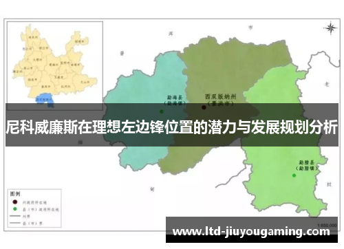 尼科威廉斯在理想左边锋位置的潜力与发展规划分析