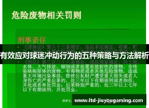 有效应对球迷冲动行为的五种策略与方法解析