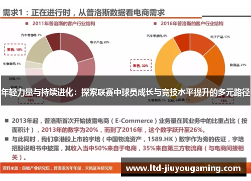 年轻力量与持续进化：探索联赛中球员成长与竞技水平提升的多元路径