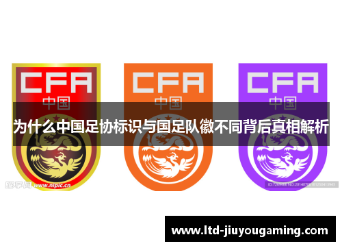 为什么中国足协标识与国足队徽不同背后真相解析