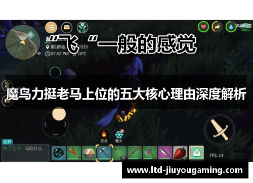 魔鸟力挺老马上位的五大核心理由深度解析